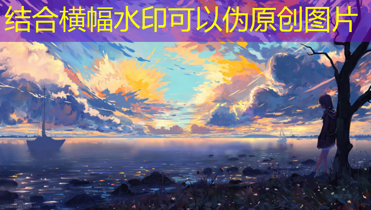 宁波室内乒乓球台